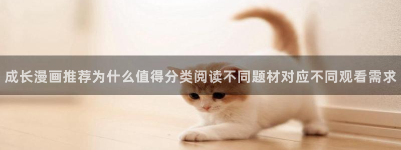 漫画岛网页