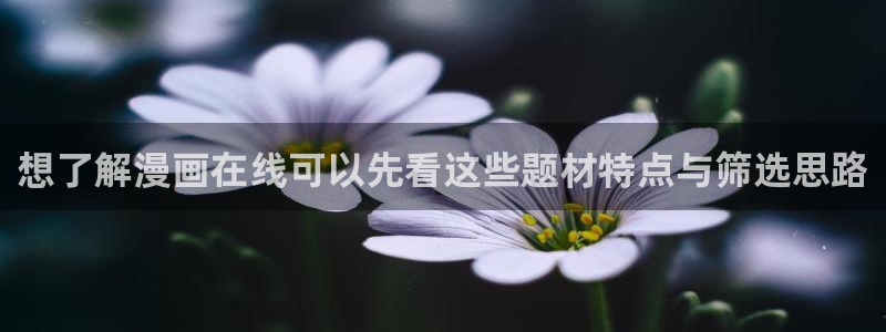 漫画岛作品目录